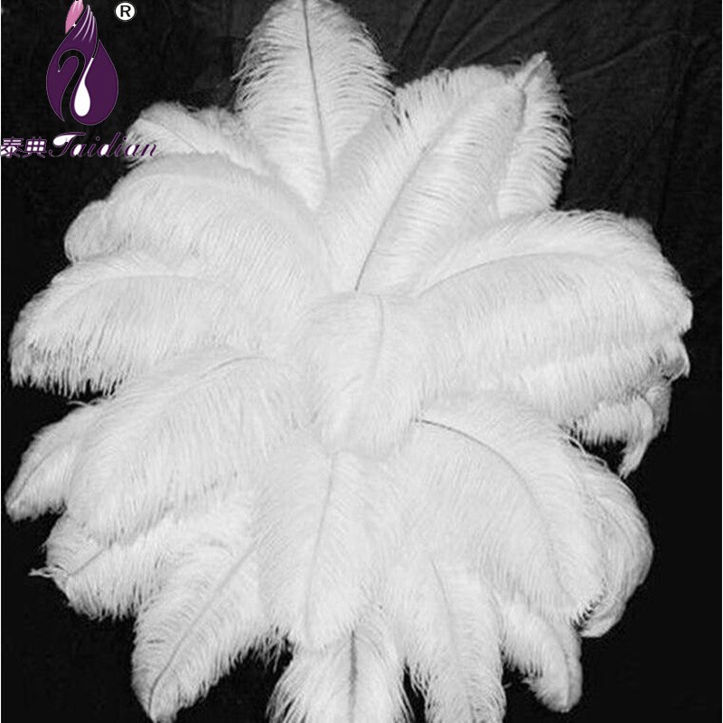 White natural white Ostrich Feather PLUMAGE1