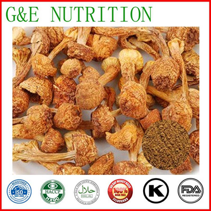 High Quality 100% Natural Agaricus blazei Extract/Agaricus blazei Extract powder  10:1  400g