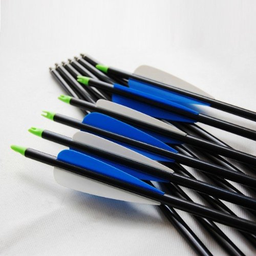 12pcs pack 30 Inches Archery Shooting Compound Bow Fiberglass Arrows with Fiberglass Shaft and Steel Point