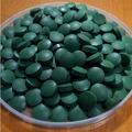 Hot Sell 100pcs Fish Food Anti fatigue Anti radiation Enhance immune Natural Spirulina Tablets Nutritious Spirulina