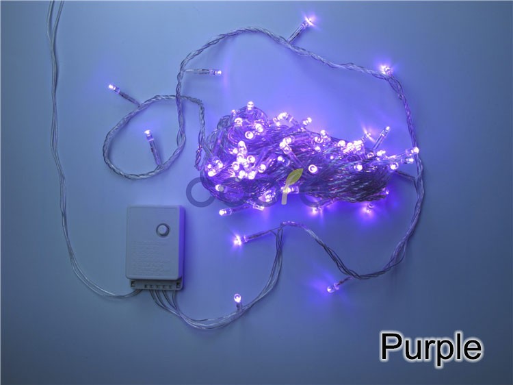 110v/220V Led String Christmas Lights 10m/100leds With 8 Modes for Holiday/Party/Decoration,Free shipping 110v/220V Led String Christmas Lights 10m/100leds With 8 Modes for Holiday/Party/Decoration,Free shipping