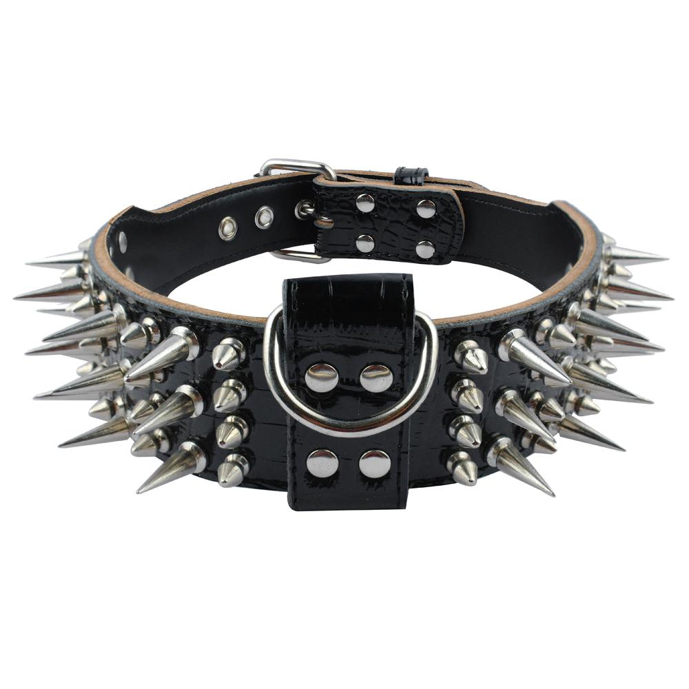 Petco 2024 spiked collar