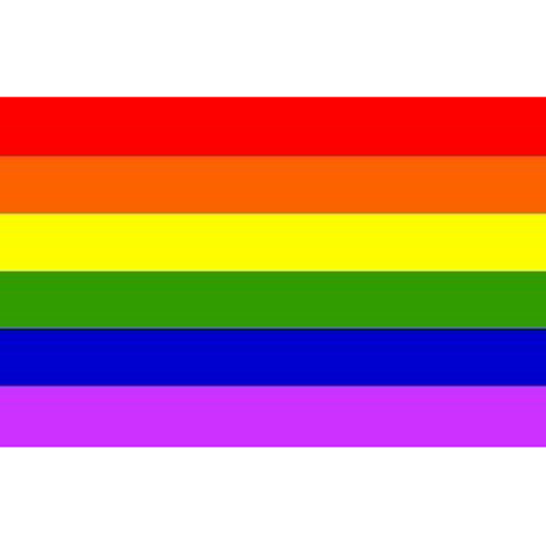 New Gay Flag 55