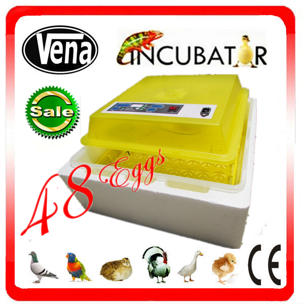 DIY egg incubator broiler and chicken parts 48 eggs incubator VA 48 in 