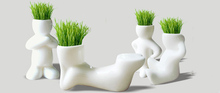 New 4 Shape Novel Bonsai Grass Doll Hair White Lazy Man Plant Garden DIY Mini
