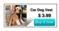 Car Dog Vest $3.99