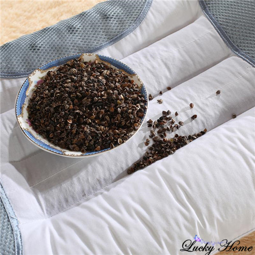 Buy Cassia seed pillows ecological flower and plant