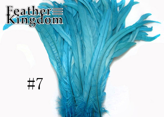 turquoise rooster tail feather