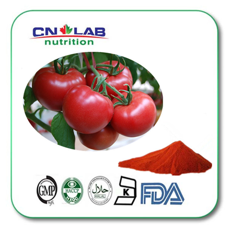 organic tomato powder, tomato sauce powder, lycopene tomato powder