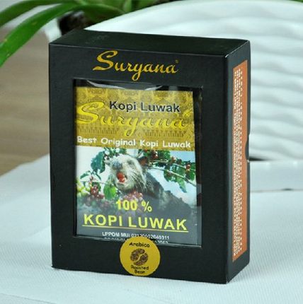kopi luwak coffee Indonesia imported authentic cat feces coffee beans 50 g box attached to the