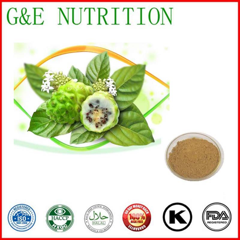 100% natural Noni Fruit Extract powder,Noni Fruit Extract powder   10:1 700g
