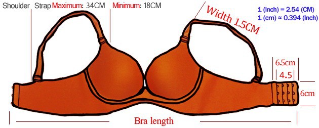 Fashion Sexy Women Bra Adjustable Brassiere Seamless Lingerie Super Push Up Bra 6 Color Plus Size C Cup Strappy Bras For Women Fashion Sexy Women Bra Adjustable Brassiere Seamless Lingerie Super Push Up Bra 6 Color Plus Size C Cup Strappy Bras For Women