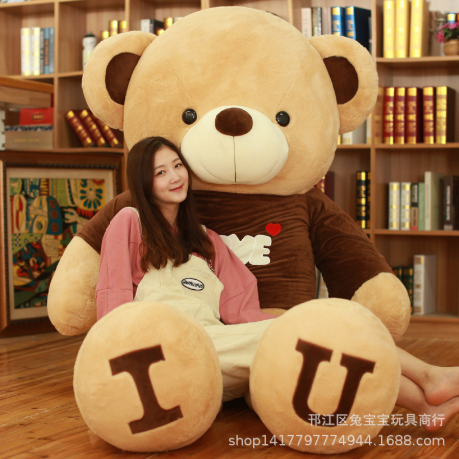 cute girl teddy bear