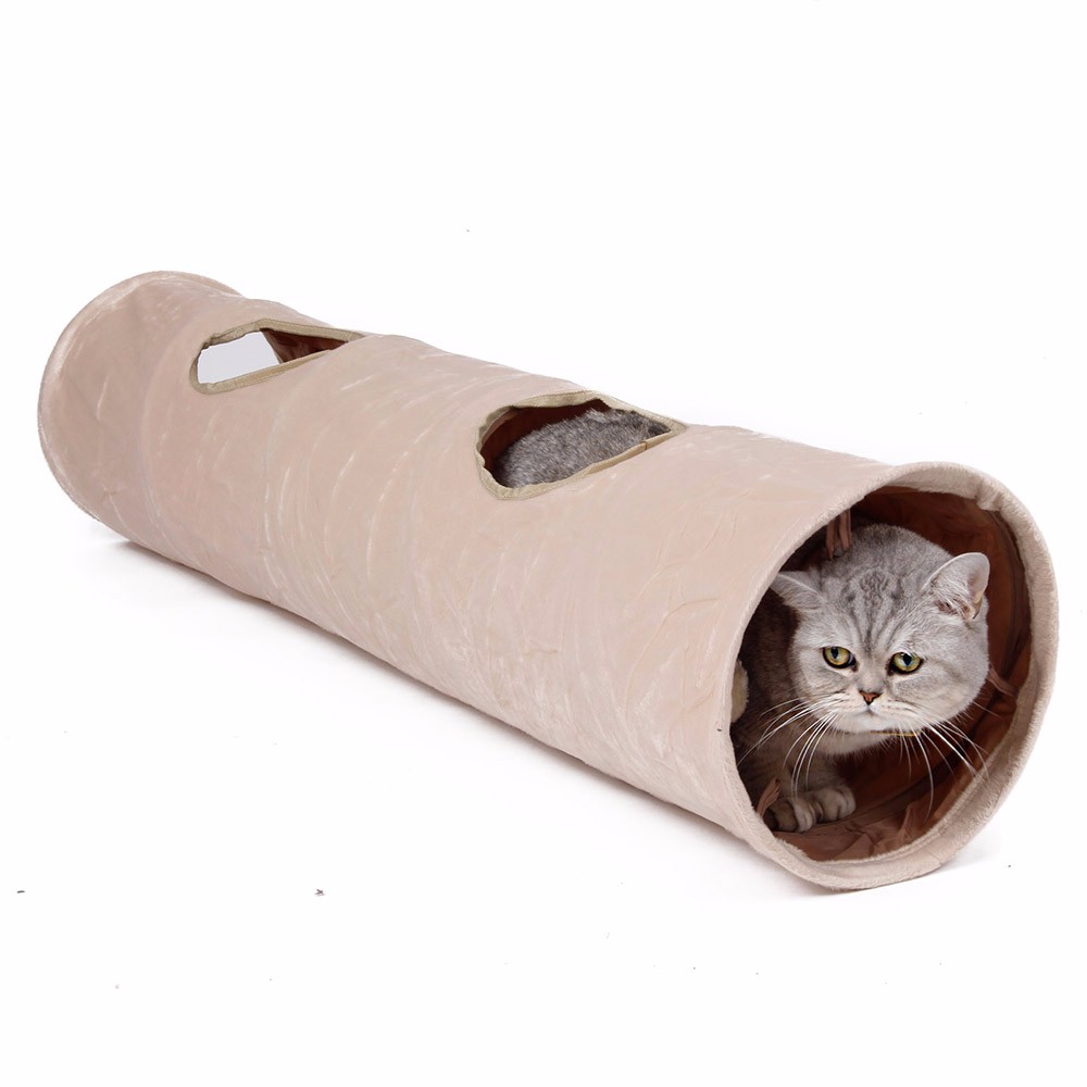 cat tunnel