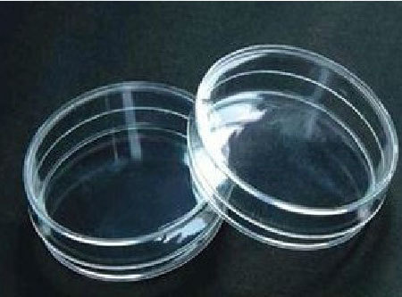 Glass Petri dish/culture dish 60mm autoclave free shipping