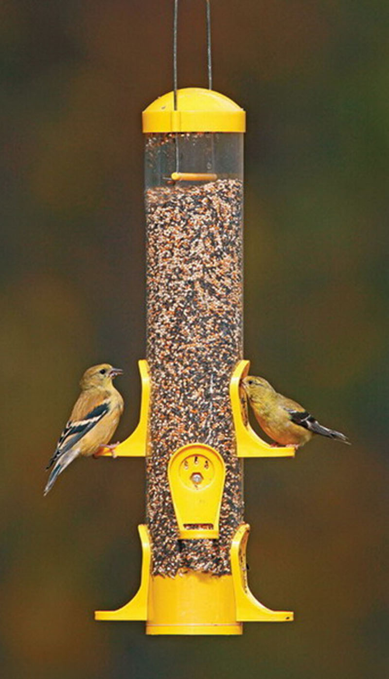 Hanging Wild Bird Feeder Garden Seed Container Finch Squirrel Proof