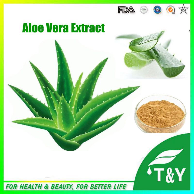 100% Natural Aloe Vera Powder Extract/Freezen Aloe Vera Extract Powder 900g/lot