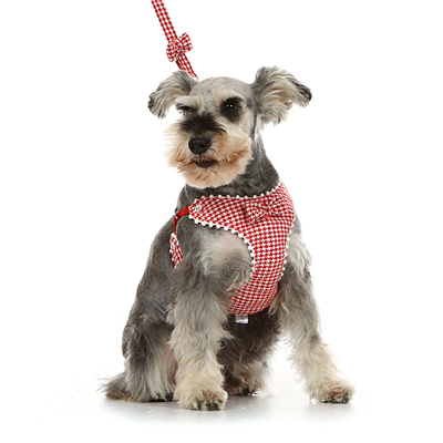 Hot Sale Pet Products font b Tartan b font Printed Pet Dog Harness With Bow