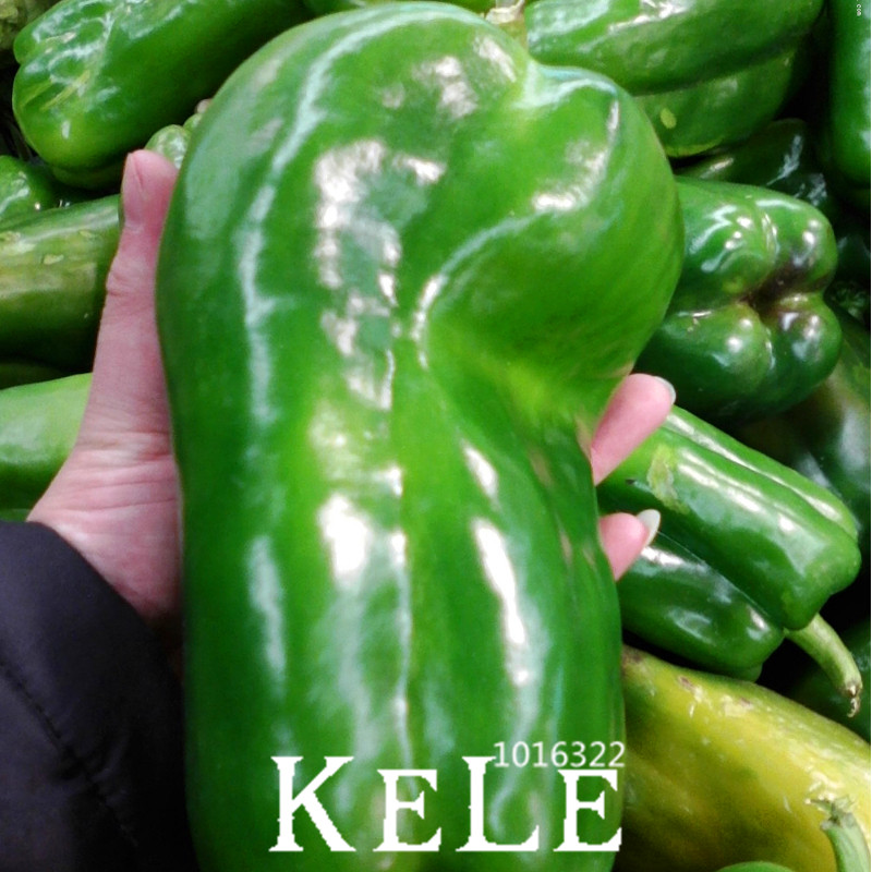 pepper table reviews online shopping pepper table pepper table reviews online shopping pepper table