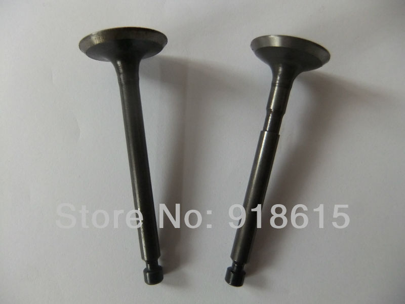 Gasoline generator accessories spare parts Intake Valve and exhaust valve fits for JAPAN EF2600 MZ175 replacement