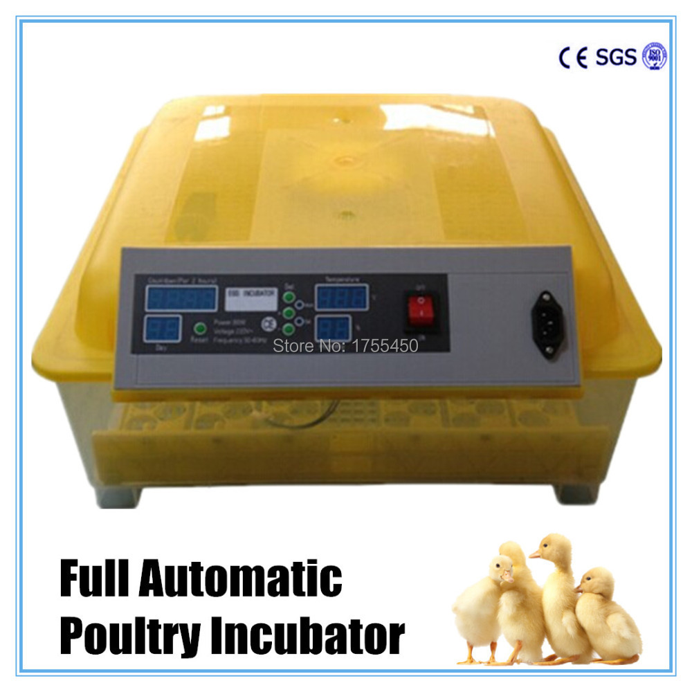 Sale Digital 48 Chicken Incubator Full Automatic Mini Egg Incubator 