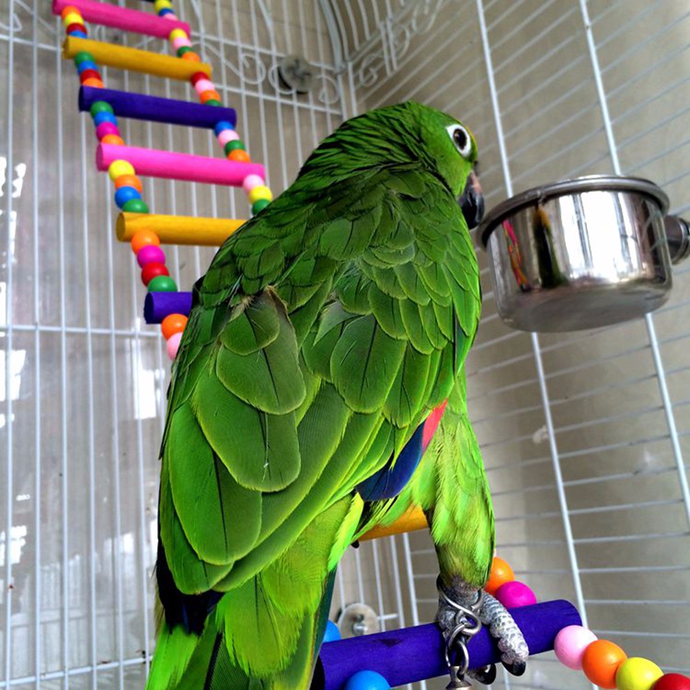 Funny-Colorful-Wooden-Pet-Bird-Toys-Ladder-Climb-Parrot-Drawbridge-Bridge-Macaw-Cage-Swing-Shelf-Singing-Parrot-Bites-Toys-PT0113 (9)