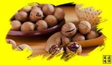 Hot sale Chinese walnut pecan hickory nut with Full walnuts and thin skin A delicious snacks