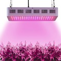 600W LED Grow Lights Full Spectrum with CE FCC RoHS for Hydroponic Greenhouse Grow Tent Lightings