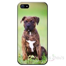 For iphone 4/4s 5/5s 5c SE 6/6s 7 plus ipod touch 4/5/6 back skins mobile cellphone cases cover bull terrier dog puppie