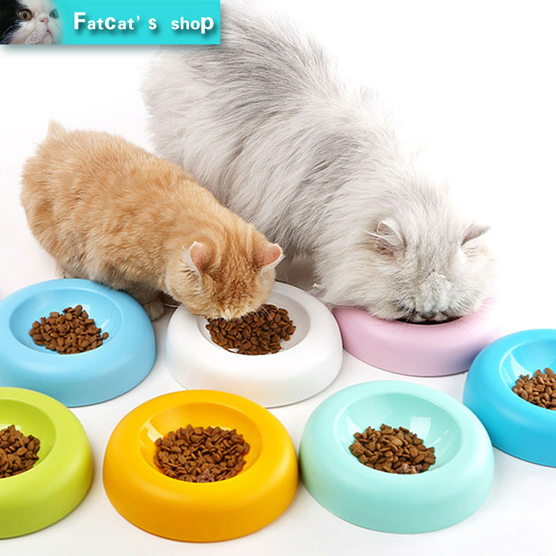       cute cat food pot           
