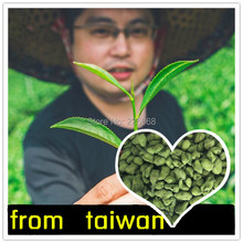 taiwan alishan Milk Ginseng Oolong Tea Green Food For Lose Weight And Health dong ding Lan