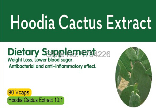 Hoodia Cactus 10 1Extract 90caps free shipping