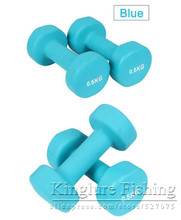 0.5KG Hexagonal Dumbbell Weight Loss Equipment Home Workout Gym Sports Fitness Dumbbell for Women Lady Dumbbells Sports tool