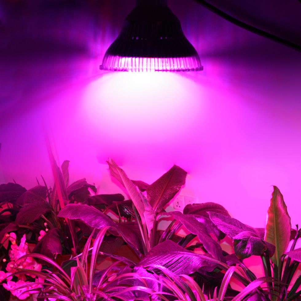 Фитолампа светодиодная для растений 9w. E27
