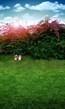 background cloth wedding wedding photography studio photos background flowers and plants landscape background outdoor 2544