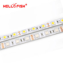 Hello Fish High Quality 5m 300 LED 5050 LED strip 12V LED tape RGB white warm