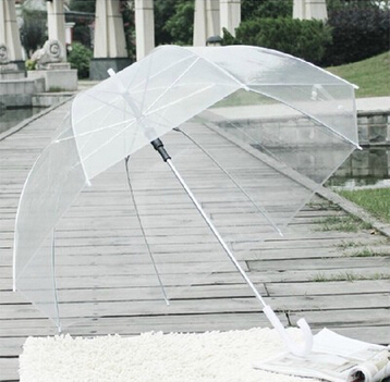    1 .          Parapluie