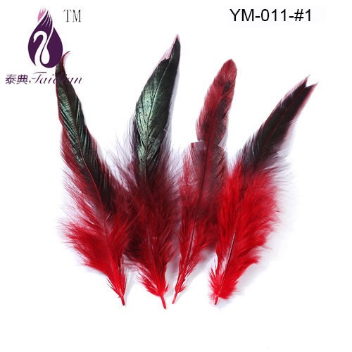 Rooster feather-1