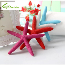 5 Colors Lovely Starfish Beach Photography Backgrounds Backdrops Studio Photos Digital Background Cloth Props Muslin 2PCS