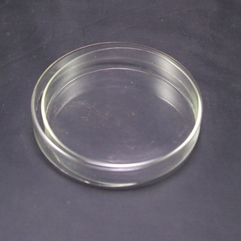 Petri dishes with lids clear glass 90mm LOT20 free shipping