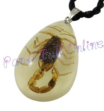 12 pcs Resin Necklace With Real Scorpion pendants imitate Amber Black Pendant 35mm long 21mm wide