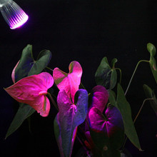 1X Full spectrum 10W E27 LED Grow lights bulb LED Grow lamp for Flower plant Hydroponics