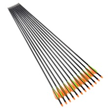 12pcs 31 Inch Long Spine 600 Target Practice Steel Point Archery Fiberglass Arrows with for Hunting