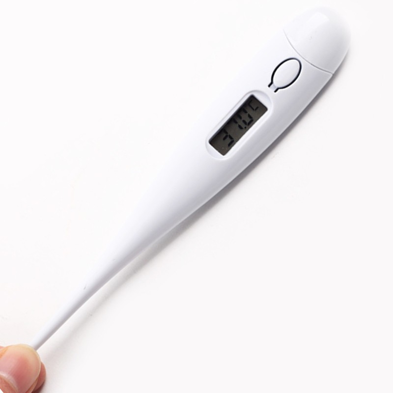 Thermometers (3)