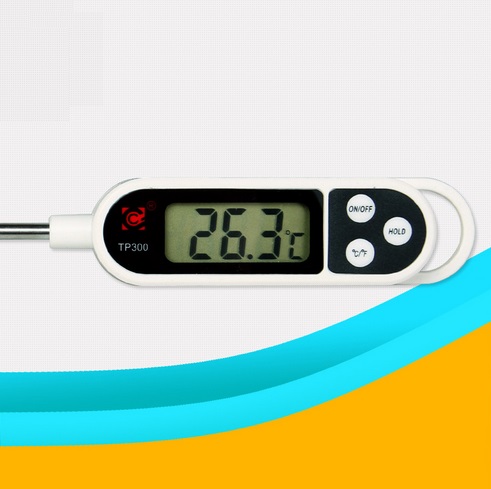 pen type thermometer with collapsible internal probe,instant read digital pen type thermometer,digital pen type thermometer