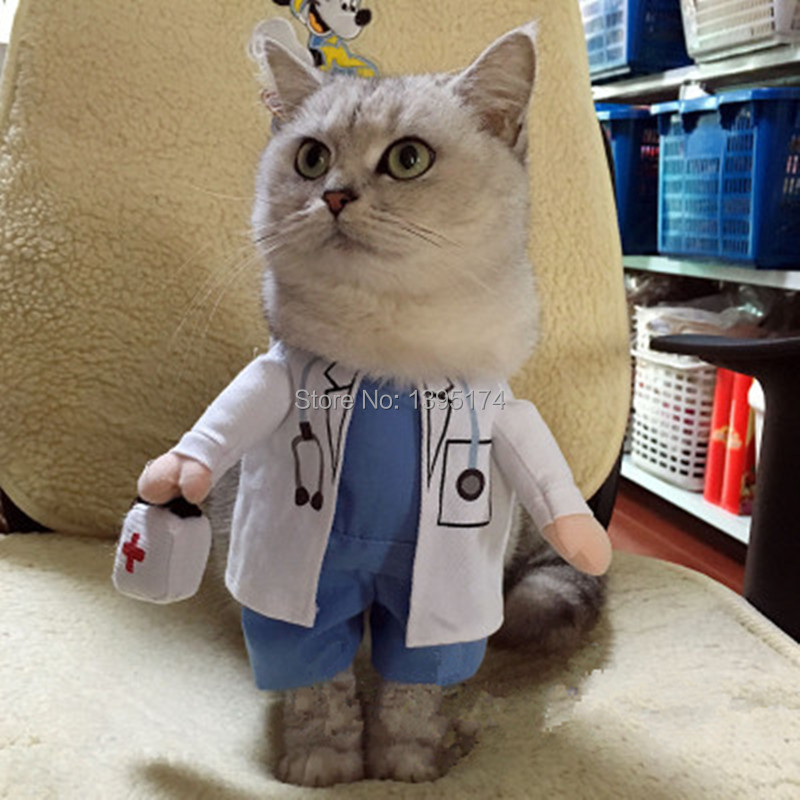 Костюмы для котов и кошек своими руками