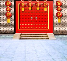 The new family background cloth studio photo theme photography background paper photo background in the New Year 3369