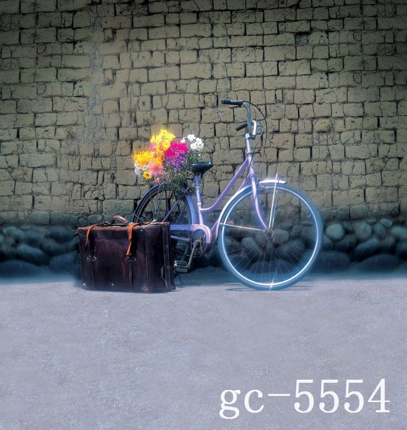 200cm-150cm-6-5ft-5ft-Mud-brick-house-old-Suitcase-bicycle-Photography-backdrop-backgrounds-for-font.jpg