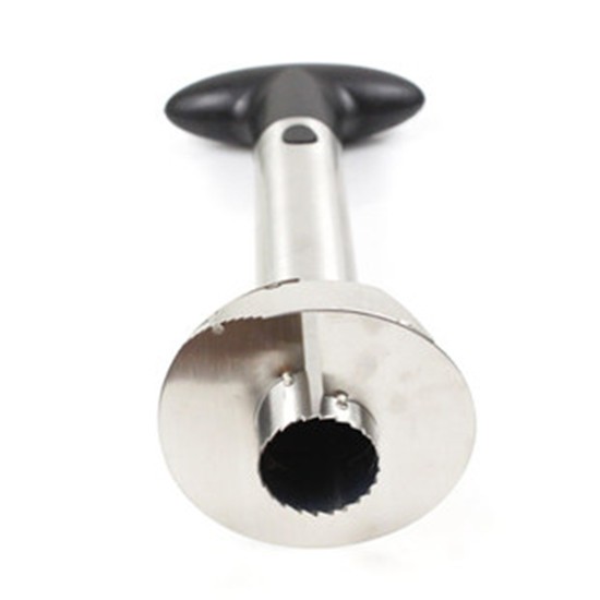 HTB1NbABGVXXXXa1XpXXq6xXFXXXH