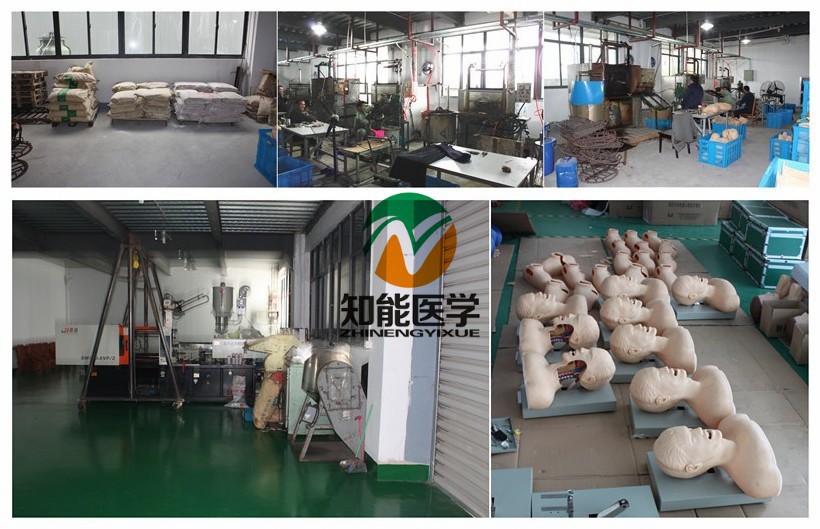 Our factory